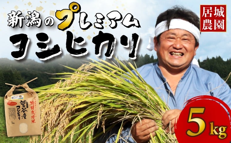 
            【11月発送受付中！】 新潟 プレミアム コシヒカリ 選べる 配送月 5kg 新潟米 令和7年産 特別栽培米 こしひかり 米 プレミアムコシヒカリ 精米 白米 ご飯 おにぎり 弁当 新潟県産 菅谷産 新潟 お米 こめ 農家直送 年内配送 人気 居城農園 菅谷 新潟県 新発田市 D78_2025P
          