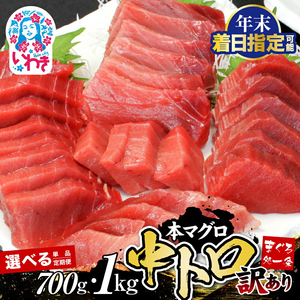 【ふるさと納税】年末着日指定 先行予約 まぐろ 訳あり 本マグロ 中トロ 700g～1kg 選べる 大容量 定期便 マグロ 中とろ 不揃い 刺身 海鮮丼 寿司 家庭用 冷凍 鮪 柵 本鮪 漬け丼 海鮮 魚 鮮魚 ネギトロ まぐろ処一条 年内発送 年内配送 選べる配送月 指定日 年末にお届け