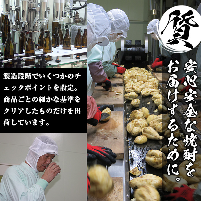 i494 鹿児島本格芋焼酎！天守の雫(900ml×12本・アルコール度数25度)紫尾山の水と黄金千貫で仕込んだ焼酎！【岩田産業】
