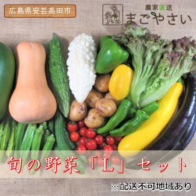 ふるさと納税 安芸高田市 旬の野菜【L】セット[No5895-0458]