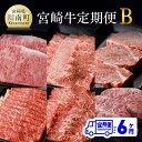 【ふるさと納税】※レビューキャンペーン※【定期便】宮崎牛 6ヶ月定期便B - 肉 牛肉 国産 宮崎県産 黒毛和牛 和牛 ロースステーキ 肩ロース焼肉 ヒレステーキ ウデスライス モモ焼肉 ミスジステーキ ミヤチク 送料無料 D0677t6