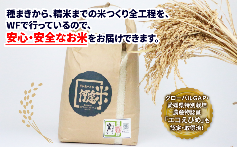 新米 特別栽培 コシヒカリ 5kg 令和7年度産 先行予約 伊達米 グローバルGAP取得 ワールドファーマーズ お米 米 ごはん ブランド米 特別栽培米 美味しい お弁当 弁当 おにぎり ふっくら ツ