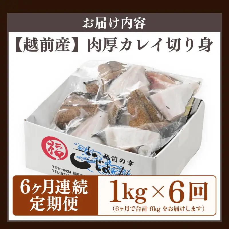 定期便 ≪6ヶ月連続お届け≫ 使い勝手抜群！福井県網元漁師が厳選 肉厚な越前産カレイの切り身（無塩）1kg × 6回 計6kg 【 たっぷり 焼き魚 煮付け バラ凍結便利 】 [e15-b012]