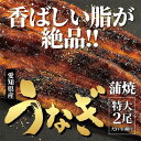 【ふるさと納税】＜着日指定必須＞【特大・国産うなぎ・蒲焼2尾】養鰻場を知るこだわり大将の絶品うなぎ