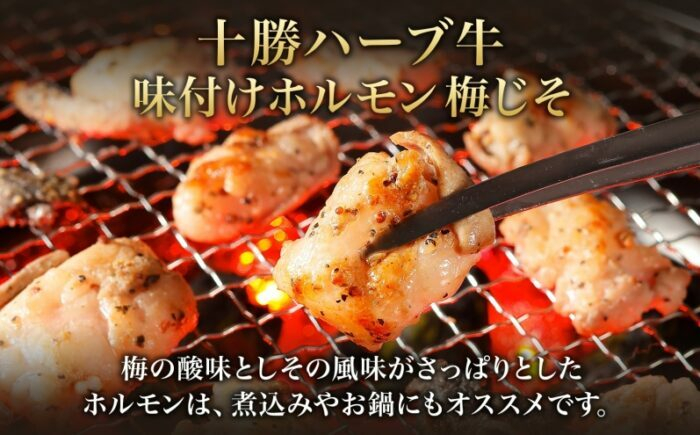 北海道産 焼き肉 やきにく ミックスホルモン 塩ホルモン 梅 しそ あしょろ