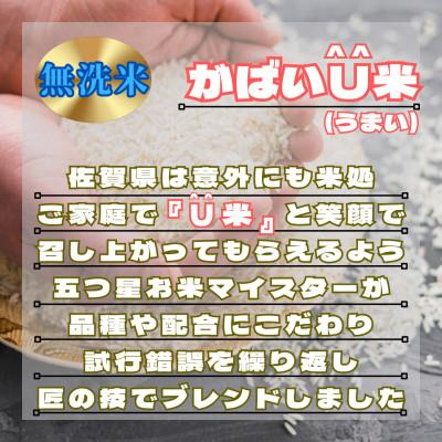 ふるさと納税 鳥栖市 【毎月定期便】がばいU米(うまい)【無洗米】5kg(鳥栖市)全6回 |  | 01