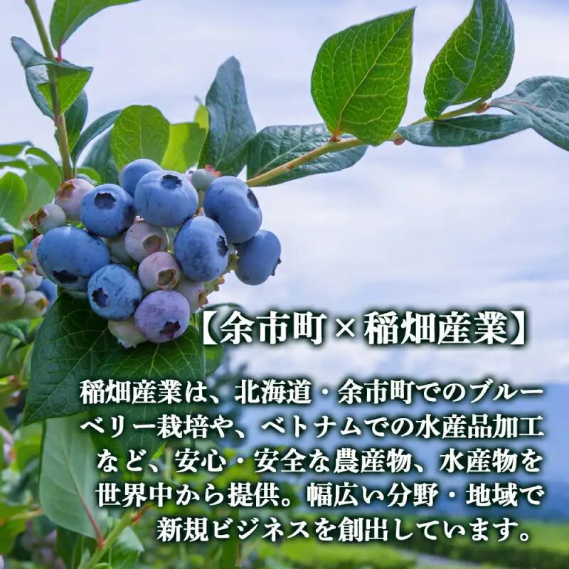 ◆ふるさと納税限定◆ブルーベリーワイン 2016 ＜アイケイファーム余市＞_Y020-0671