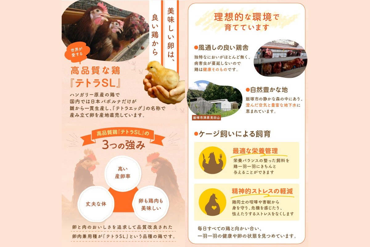 【J11-001】テトラエッグ特選卵『バボルナの宝石』（30個/月）【12カ月定期便】