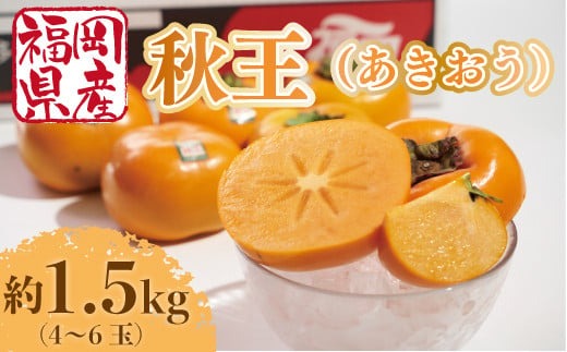 【期間限定発送】 柿 秋王 4-6玉 約 1.5kg [南国フルーツ 福岡県 宇美町 um40azo970028] 福岡県産 あきおう かき フルーツ 果物 くだもの 