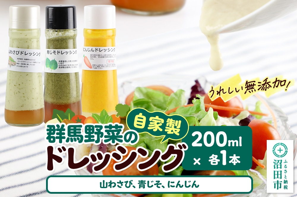 
                  自家製・群馬産野菜で手作りドレッシング（山わさび、青じそ、にんじん）200ml×各1本 泙川食品 [どれっしんぐ ドレッシング やまわさび ヤマワサビ 山わさび 山ワサビ アオジソ あおじそ 青ジソ 青じそ 人参 にんじん ニンジン]
                