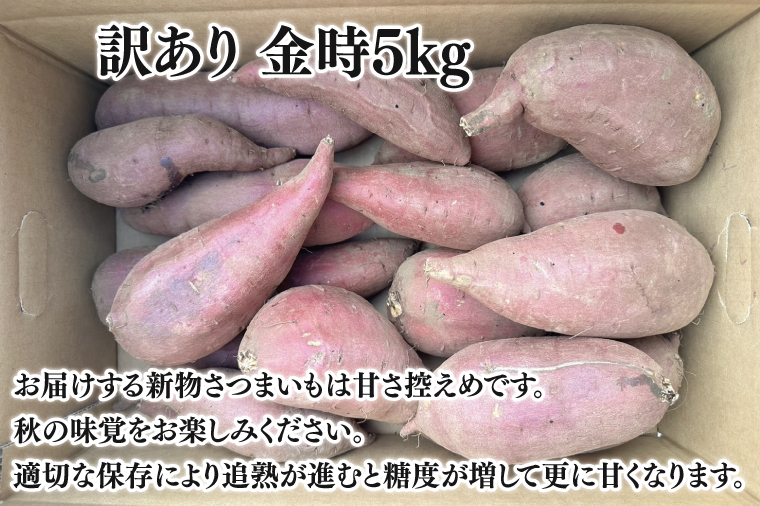 【2025年11月より順次発送】【数量限定】訳アリ 茨城県産金時 約5kg｜金時 さつまいも 芋 サツマイモ 金時 訳あり わけあり 先行予約 茨城県 取手市（AS010）