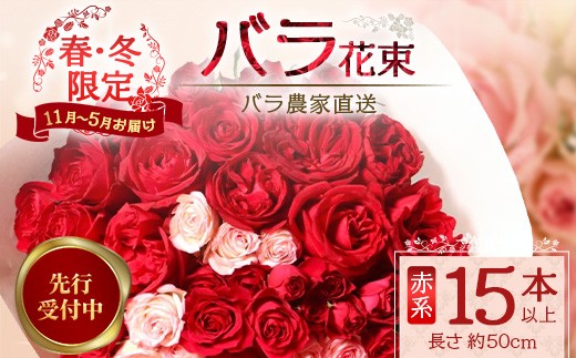 
                  ※先行予約※【日付指定必須・ギフト対応可】ばら農家直送！人気の春・冬薔薇をお届け♪  バラ花束15本以上(赤系) TB-9│ローズ 新鮮 花 フラワー 花束 ばら 薔薇 バラ 誕生日 記念日 結婚祝い ギフト プレゼント お祝い 贈り物 贈答 鹿児島県 南大隅町 富田バラ園
                