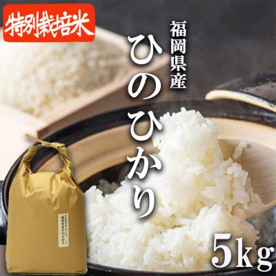 ふるさと納税 小郡市 米 5kg 発送当日に精米します 小郡産 特A 特別栽培米 ひのひかり[No5354-0266]