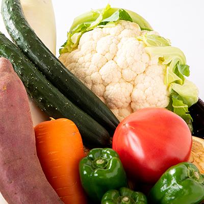 ふるさと納税 潮来市 旬の新鮮野菜詰合せセット |  | 03