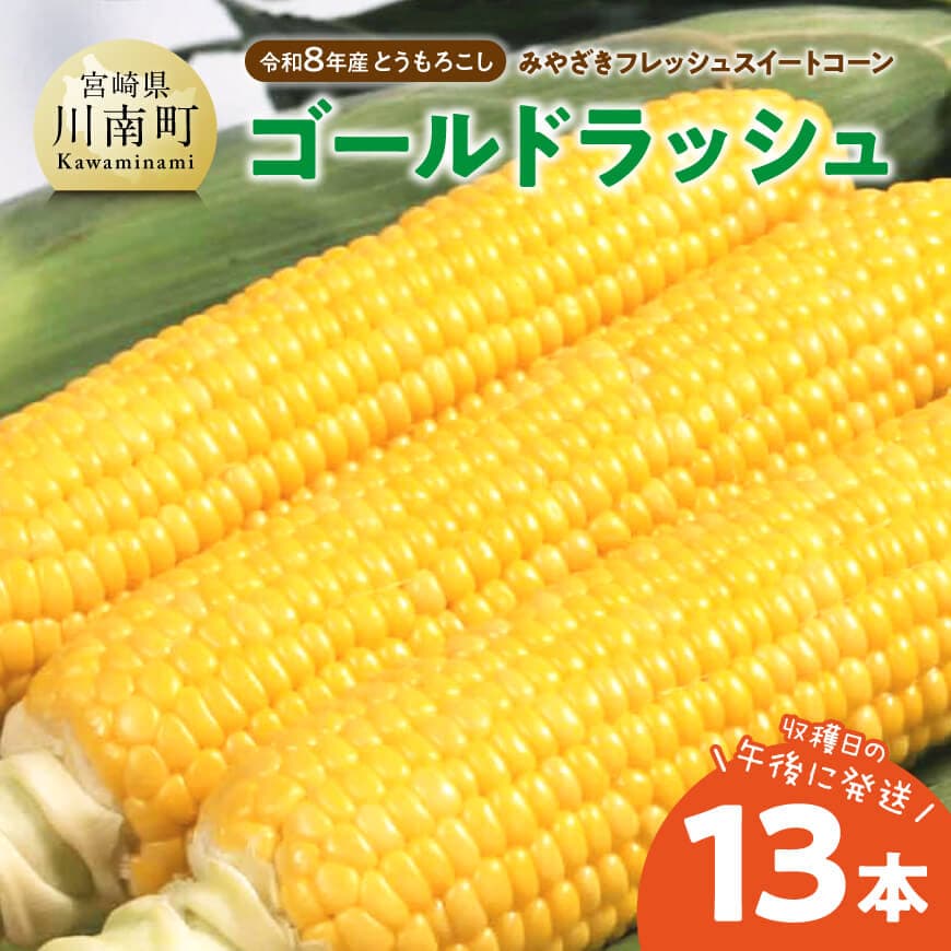 【ふるさと納税】【令和8年発送】　宮崎県産とうもろこし　みやざきフレッシュスイートコーン「ゴールドラッシュ」13本 - トウモロコシ 新鮮 朝どれ 農家直送 産地直送 JA 真空予冷 期間限定 先行予約 宮崎県 川南町 送料無料 C03803