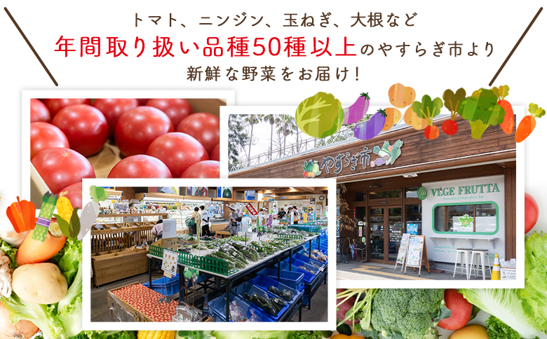 【2026年1月以降発送】フルーツトマト 2kg 家庭用 - 国産 青果 野菜 トマト 訳あり ご家庭用 甘い 酸味 不揃い 傷 やすらぎ市 高知県 香南市 冷蔵 yr-0067