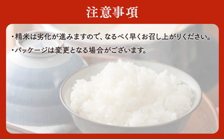 北海道八雲町熊石産 令和7年ゆめぴりか10kg(精白米) ※沖縄・離島への配送不可 ※2025年10月上旬頃より順次発送予定