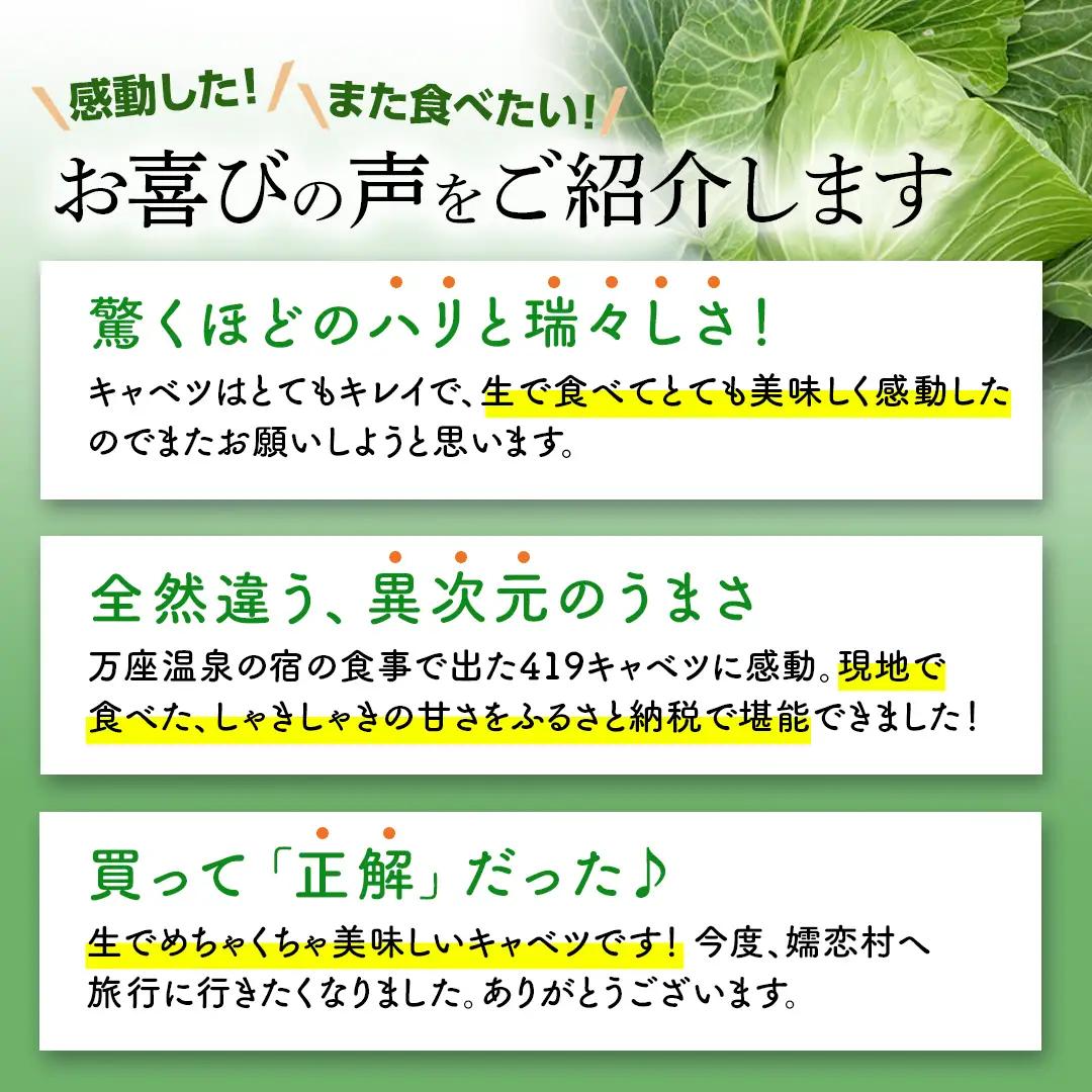＜レビューキャンペーン開催中＞【7月中旬発送開始】 訳あり まぼろしの419キャベツ 2玉 きゃべつ 嬬恋村産キャベツ 羽生田売店 幻のキャベツ419 産地直送 期間限定 人気 朝採り 通販 お取り寄