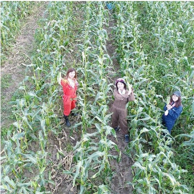 【発送月固定定期便】直送!【北海道の定番便】十勝ガールズ農場の野菜セレクション全3回【配送不可地域:離島】