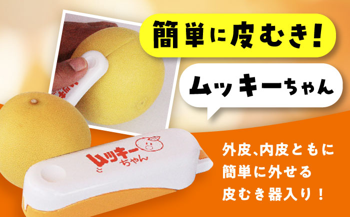 【先行予約】 南国土佐の女王柑橘 水晶文旦 約3kg 5玉入り〈2026年9月中旬～2026年12月中旬頃発送〉/ ぶんたん 文旦 3kg 3キロ フルーツ 高知 名物 果物 柑橘 ムッキー 【フルー