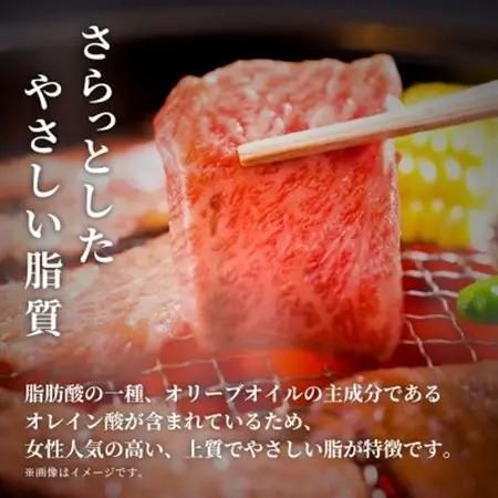 能登牛 牛肩ロース 焼肉 300g_肉 焼肉 牛肉 やきにく ヤキニク バーベキュー_【配送不可地域：離島】【1556792】