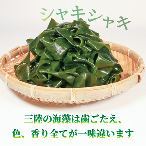 三陸 大船渡産 海藻 味わいつくしセットA (わかめ100g、茎わかめ200g、きざみ昆布200g) 各1袋 計500g