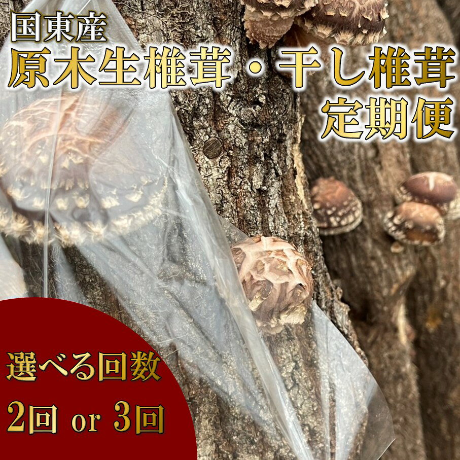【ふるさと納税】【先行予約】【選べる回数】原木生椎茸と干し椎茸の定期便 しいたけ シイタケ 国産 大分県