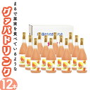 【ふるさと納税】まるで果実を食べているような！グァバドリンク12本セット各720ml)おすそ分け箱・袋付【宮崎果汁】【KU113】 送料無料 宮崎県 串間市 フルーツジュース 果物ジュース 贈り物 ギフト おやつ 飲料 ジュース