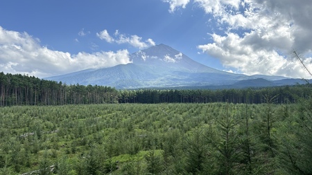 富士山の森づくり植樹代行(1本) NSAP001-a