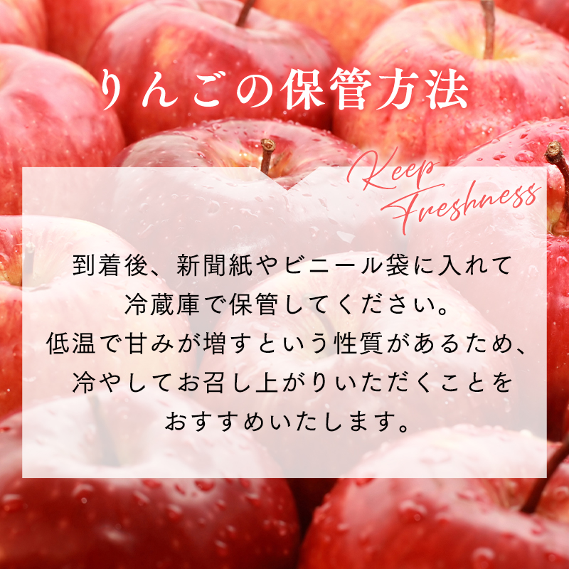 【令和7年産先行受付】令和7年12月発送 贈答規格サンふじ約2kg【青森県平川市産・青森りんご】
