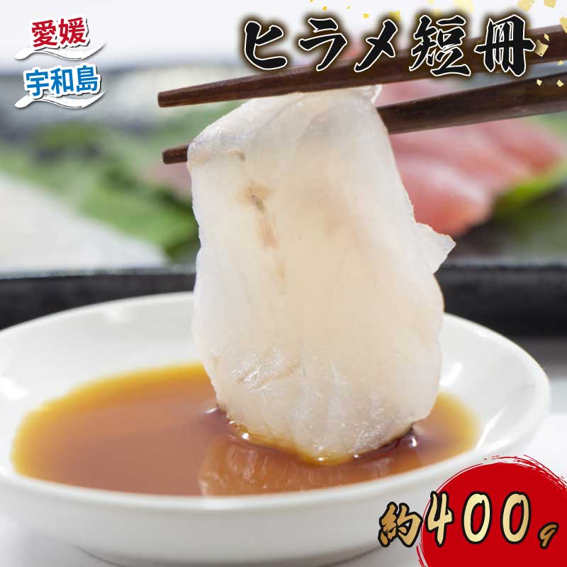 【ふるさと納税】 ヒラメ 短冊 約 400g 有限会社 アクアプラス 先行予約 高級 平目 ひらめ 海鮮 海鮮料理 シーフード 鮃 刺身 お刺身 刺し身 お刺し身 フィーレ 加工 魚 しゃぶしゃぶ カルパッチョ フライ アレンジ 冷蔵 産地直送 国産 愛媛 宇和島 D019-090009