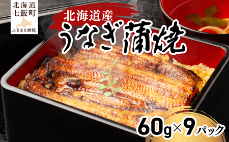 国産うなぎ蒲焼×3箱セット(60g×9） 【 ふるさと納税 人気 おすすめ ランキング うなぎ 蒲焼 国産 化粧箱 高品質 セット 三度焼き ふっくら 柔らか おかず おつまみ 山椒付 うな丼 うな重 個包装 真空パック お手軽 ご贈答 ギフト ご褒美 グルメ 丑の日 おいしい 北海道 七飯町 送料無料 】 NAAF002