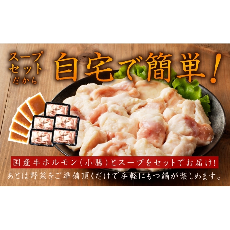 牛もつ鍋セット 15人前【国産 牛肉 ホルモン 塩こうじ スープ付き モツ 鍋 高評価 冷凍 鍋セット 簡単調理】 015B570_イメージ3