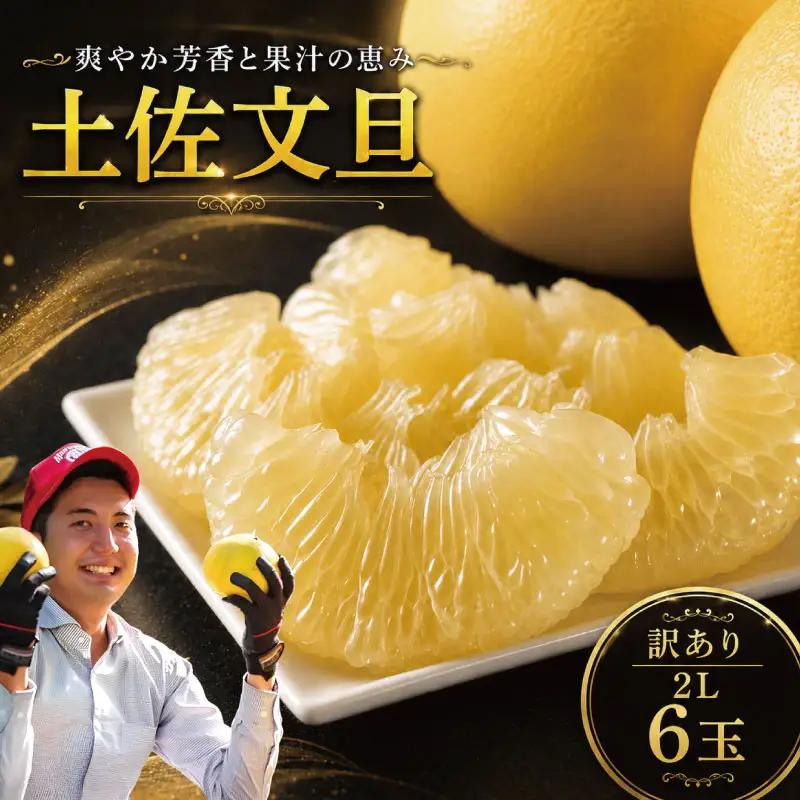 【訳あり】文旦 2L 6玉 土佐文旦 大北果樹園