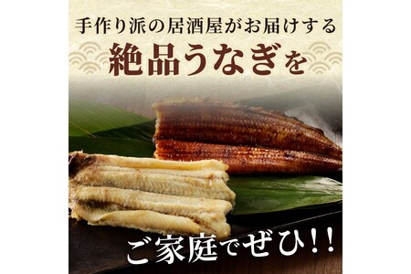 うなぎ／うなぎの食べ比べセット2~3人前【蒲焼き・白焼きそれぞれ1/2尾】全部で1尾　うなぎの蒲焼き・白焼きセット１匹