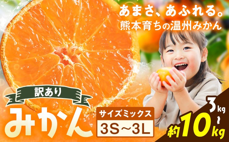 
                  訳あり 温州みかん サイズミックス 3S ～ 3L 選べる 内容量 約3kg 約5kg 約10kg 日本フルーツ株式会社《10月中旬-2月下旬頃出荷予定》熊本県 荒尾市 みかん 温州みかん ミカン 蜜柑 柑橘類 訳あり ご家庭用 サイズ不揃い 果物 フルーツ
                
