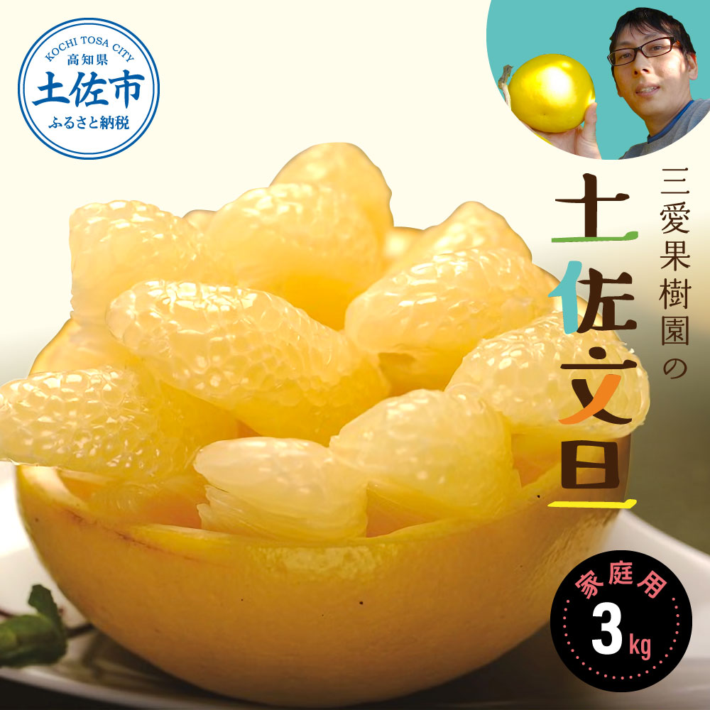 【先行予約】三愛果樹園の土佐文旦 家庭用約3kg 2月～3月発送 文旦 みかん 柑橘 ぶんたん ブンタン 果物 フルーツ お取り寄せ おいしい 美味しい 故郷納税 ふるさとのうぜい 返礼品 高知県 高知