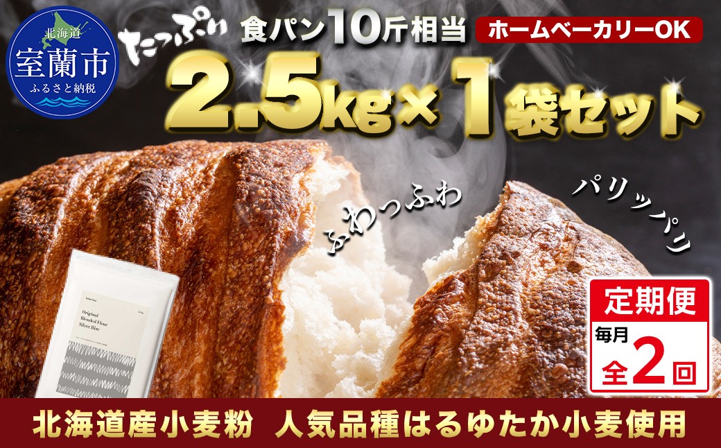 
                  【毎月定期便】北海道産 はるゆたかブレンド小麦粉 シルバーライズ（パン用強力粉）2.5kg 全2回【ふるさと納税 人気 おすすめ ランキング 小麦 小麦粉 粉 シルバーライズ はるゆたか ブレンド パン用 強力粉 穀物 国産 北海道産 食パン パン こむぎ こむぎこ ギフト 贈答 プレゼント 贈り物 定期便 北海道 室蘭市 送料無料】MROBI025
                