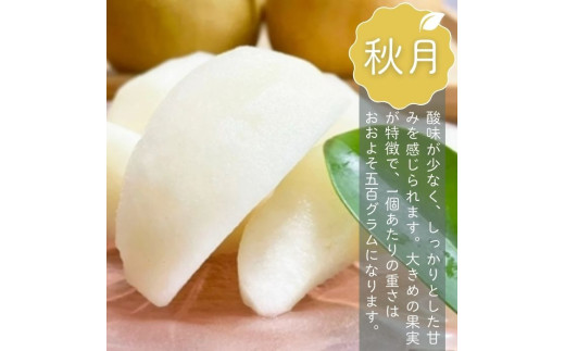 D031-2026 【家庭用】果汁たっぷりの極上梨「あきづき・3kg」（2026年産）