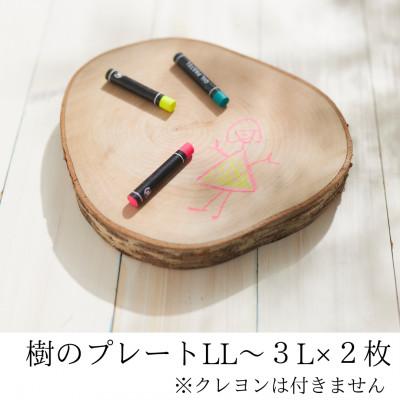 ふるさと納税 岩泉町 岩泉の森の樹のプレートLL〜3Lサイズ2枚set
