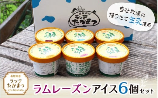 ラッテたかまつ ラムレーズンアイス6個セット ／葛城 高原 牧場 ラッテのアイス【latt023】