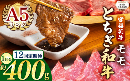 【栃木県共通返礼品 栃木県産】【定期便12回】宮福笑牛(とちぎ和牛) A5 モモ焼き肉 約400g  | 栃木県 下野市
