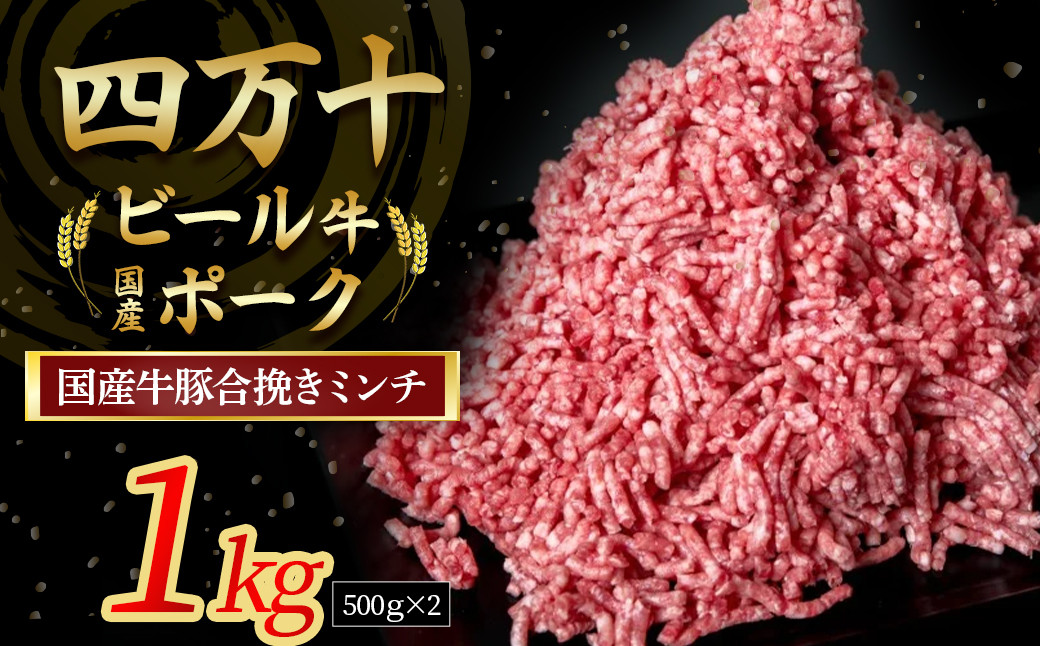 
            国産牛肉 豚肉の合挽肉 1kg（500g×2） 配送月が選べる！ Asz-A14 国産 牛肉 豚肉 ミンチ 合挽肉 小分け 冷凍 四万十ポーク ハンバーグ 人気 配送月指定
          