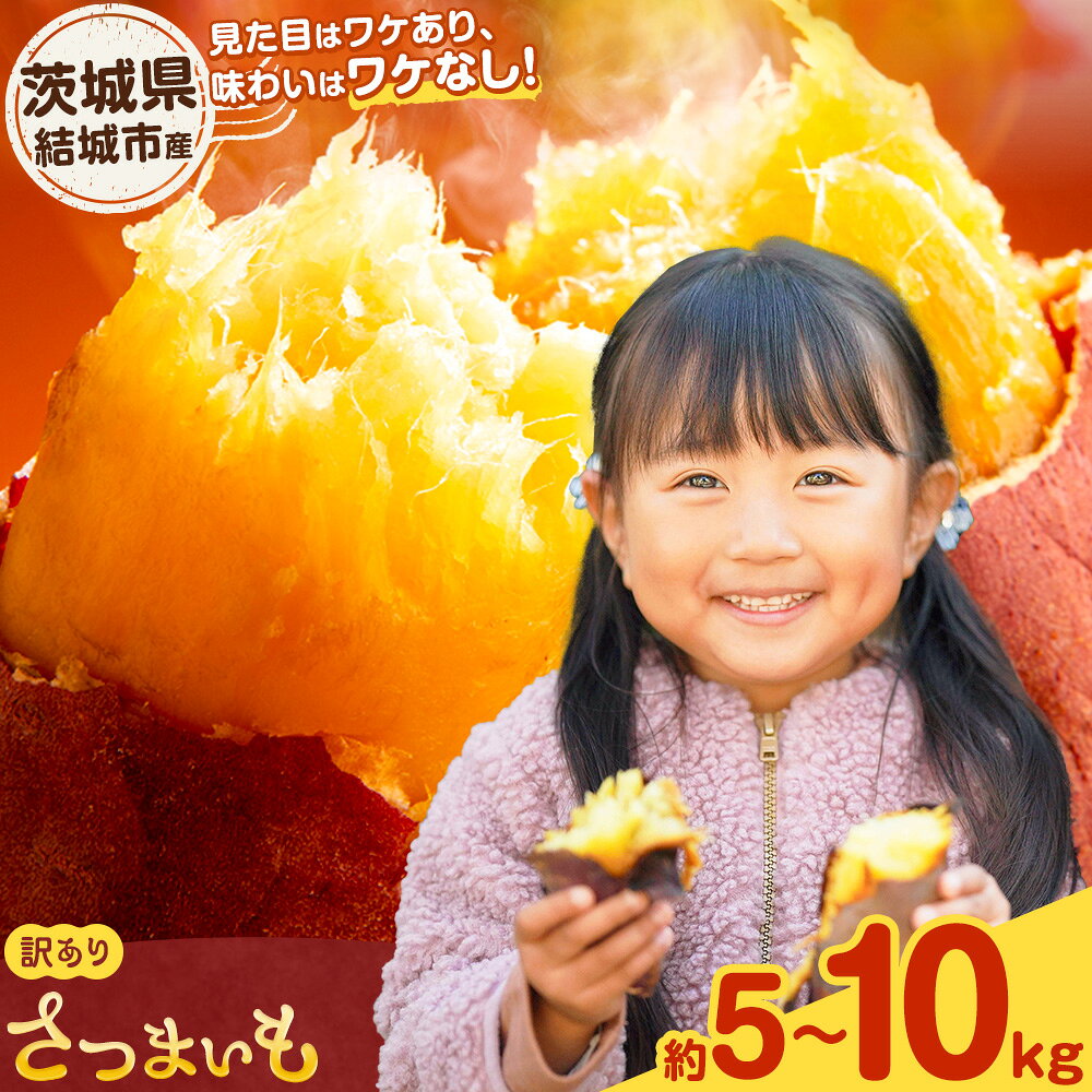 【ふるさと納税】先行予約 ☆新登場☆ 茨城県産 さつまいも こだわり農家の訳ありさつまいも 茨城県結城市産 サイズ不選別 品種おまかせ 選べる 約5kg 約10kg 《2026年9月中旬-2027年2月末頃出荷》茨城県 結城市 ご家庭用 お芋 訳あり 紅はるか シルクスイート