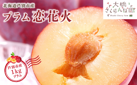 【 先行受付 】 プラム 恋花火 1kg フルーツ 果物 くだもの 旬のフルーツ 旬の果物 季節のフルーツ 季節の果物 北海道 芦別市