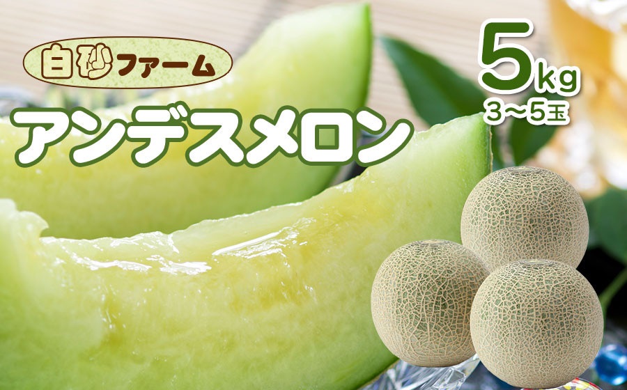 【令和8年産先行予約】 アンデスメロン 約5kg(3～5玉) 山形県鶴岡産 庄内砂丘メロン　白砂ファーム