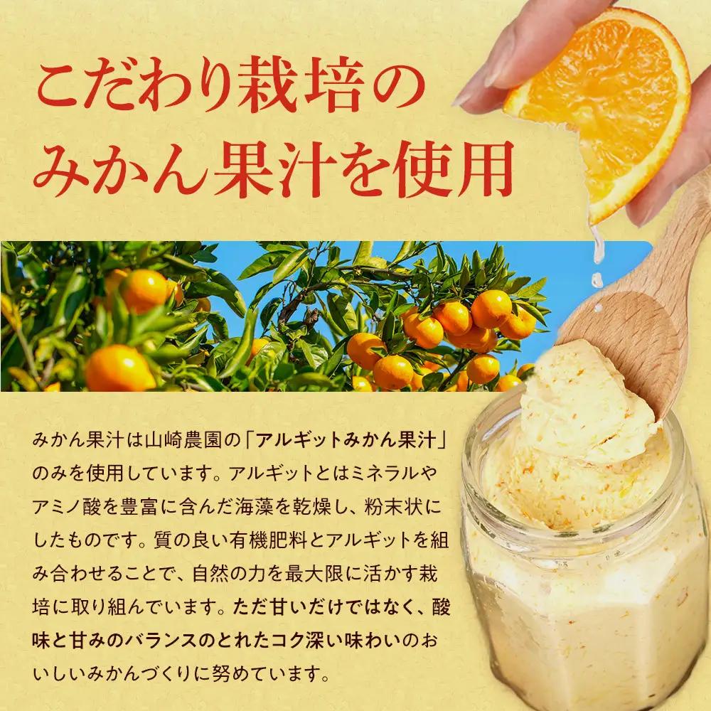 みかんバター 1本入 みかん果汁 食パン
