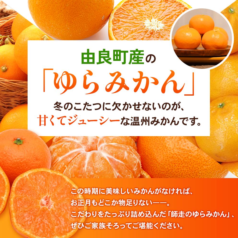 【先行予約】ゆらみかん 9kg 温州みかん 和歌山県由良町産［2025年12月10日～25日発送予定］【kzmn017】