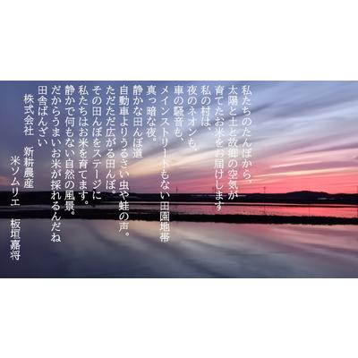 ふるさと納税 村上市 【新米受付・令和8年産米】大粒でしっかり食感　新潟県岩船産　ゆきん子舞8kg NA4099 |  | 03