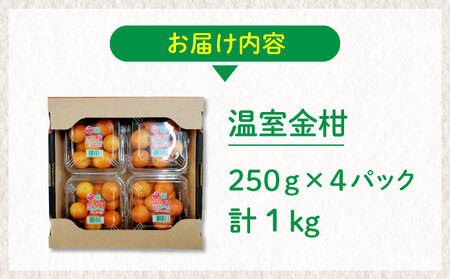 KU434【先行予約】 温室金柑1kg（250g×4パック）